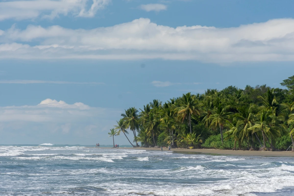 Tropical Pacific coastline with palm trees and ocean waves Costa Rica