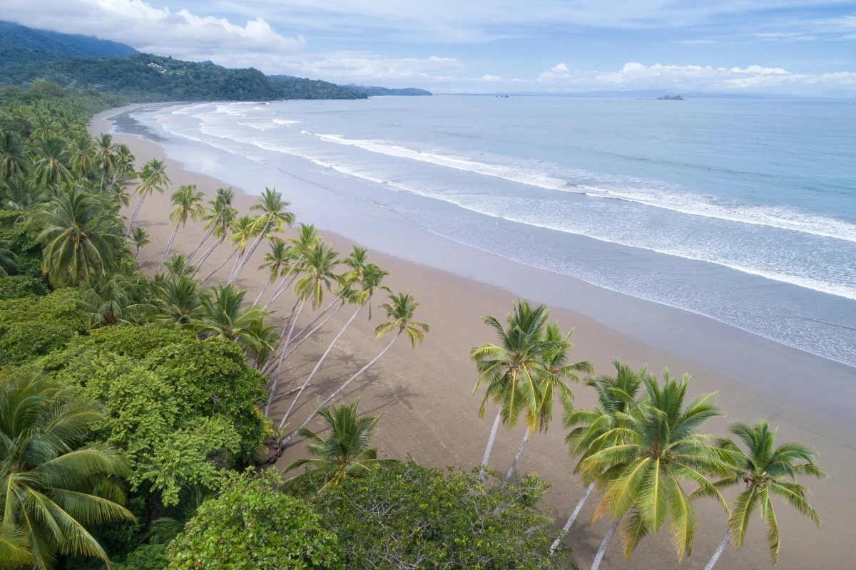 Aerial panorama of long sandy beach with palm trees Costa Rica